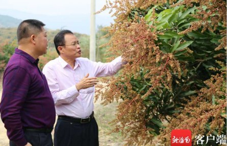 陈业渊：投身海南热带种业科研37年