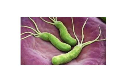“杀幽牙膏”真能杀灭幽门螺旋杆菌吗？
