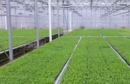 贵州：多措并举确保“菜篮子”货足价稳