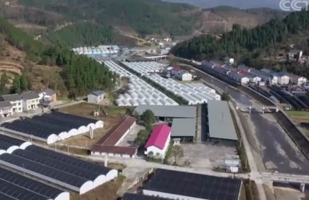 各地脱贫攻坚成果进一步巩固 76%已经消除返贫风险