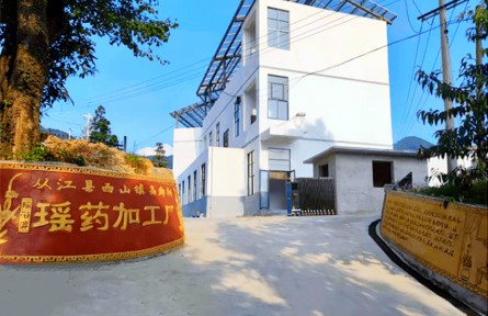 贵州从江赵金钱：带领群众“泡”出好日子