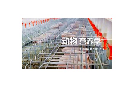 1.1.1 动物营养学的基本内涵及对动物生产的指导作用