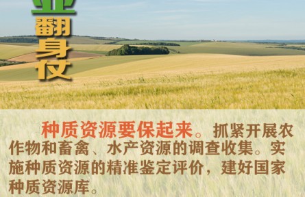 打好种业翻身仗 看农业农村部怎么说