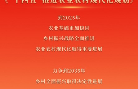 推进十四五农业农村现代化建设目标公布