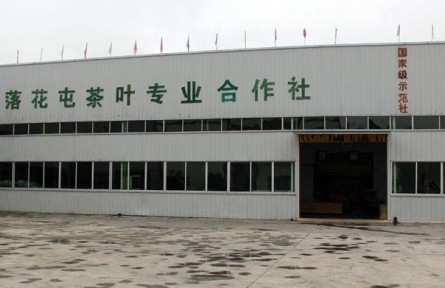 湄潭县落花屯茶叶专业合作社