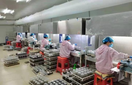 兴业银行泉州分行：科技做加法 服务乡村全面振兴