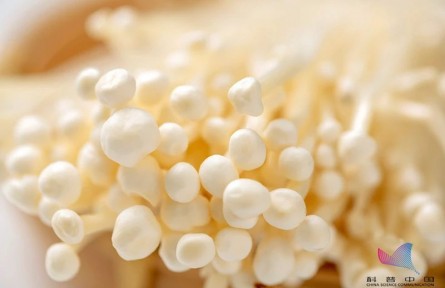 平时吃的金针菇，其实多是银针菇？两者有何不同？
