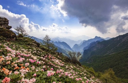 陕西秦岭太白山——守护大熊猫最北的家园