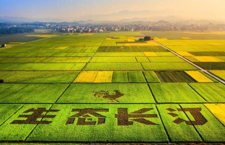 福建：山河巨变展新颜 “进则全胜”绘新篇