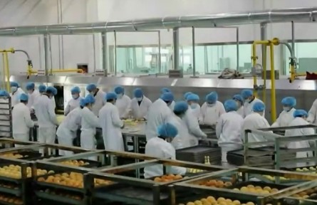 新疆：馕产业迈出高质量发展步伐