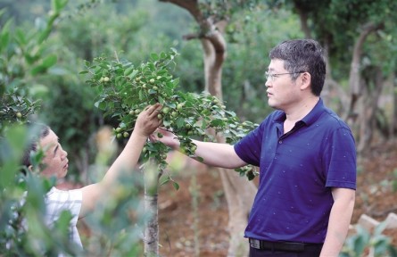 大连民族大学：把科技送到田间地头