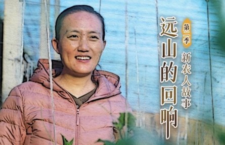 清华女博士后回村务农：你想要的，土地都能给你