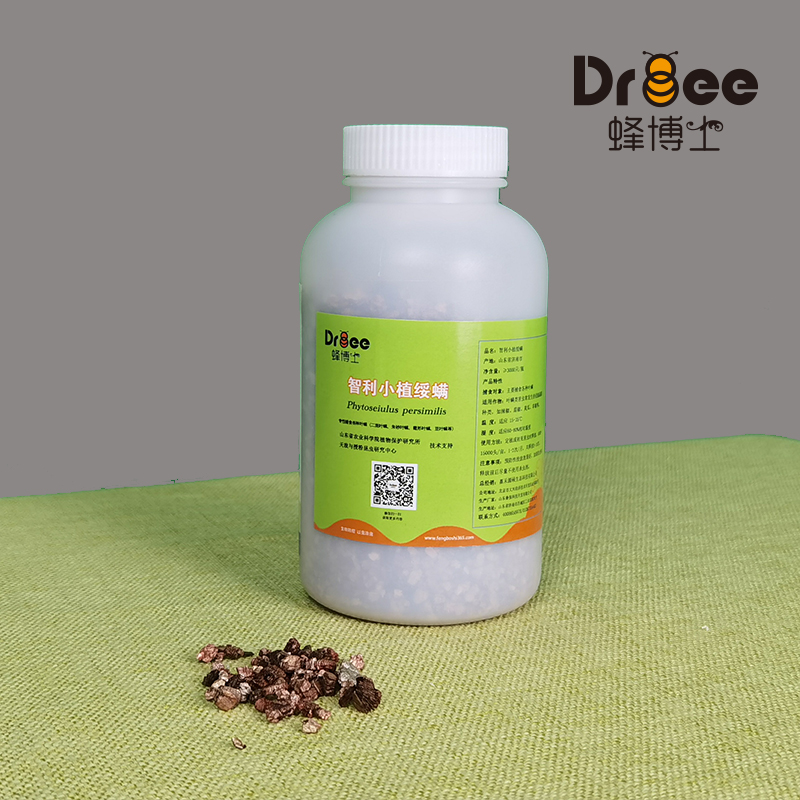 蜂博士生物防治 智利小植绥螨