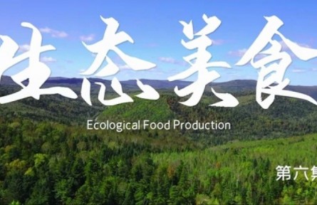 美丽中国·The Great Beauty of China: Ecological Food Production
