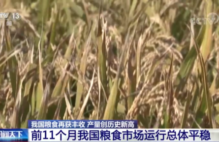 农业农村部：我国粮食市场运行总体平稳