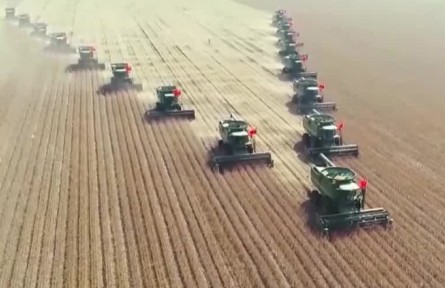 粮食供应有保障 粮食增产 为保供稳价提供坚实基础