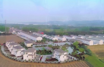 美丽乡村，振兴有我 | 安徽凤阳：记四位农村青年在乡村广阔舞台上奋斗青春
