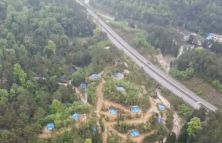 贵州紫云：发展林下经济 让绿水青山变成金山银山