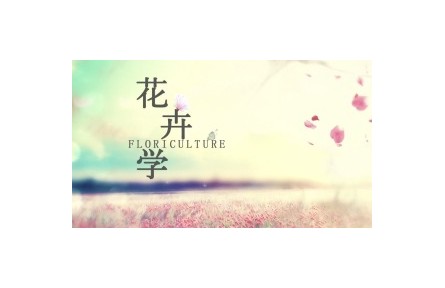 《花卉学》系列讲座视频