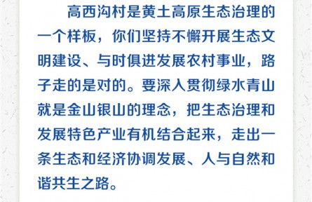 扎实推进乡村振兴 习近平心系“三农”