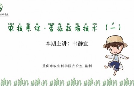 香菇栽培技术（一）