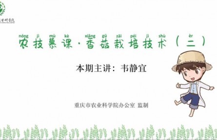 香菇栽培技术（二）