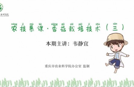 香菇栽培技术（三）