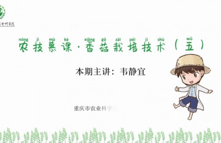 香菇栽培技术（五）