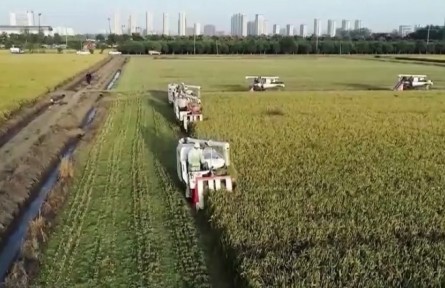 【我们的2021】把饭碗牢牢端在自己手中