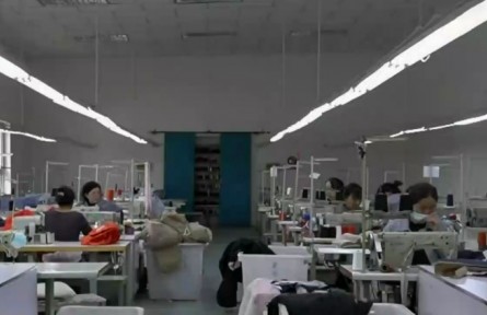 新疆哈巴河县：驼绒制品带动农牧民持续增收