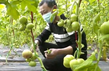 新疆：学深悟透 凝聚乡村振兴工作合力