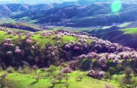 新疆维吾尔自治区伊犁哈萨克自治州：塞外江南 诗画伊犁