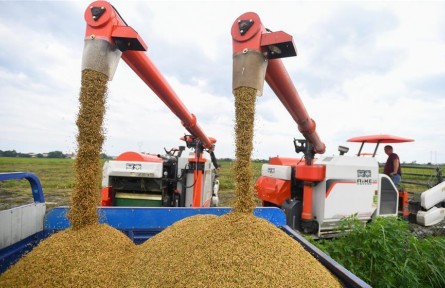 头条英文播报 | China helps boost global food security