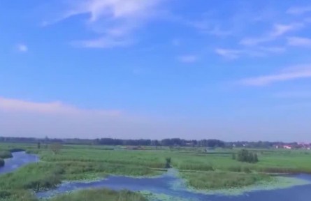 雄安新区白洋淀步入全国良好湖泊行列