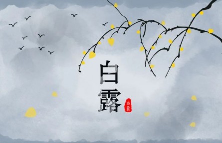 白露，繁华季节的谢幕