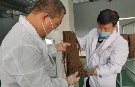 延安大学王晓涧：为陕北小杂粮注入更高的科技含量