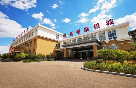 山西忻州：“小杂粮”谱写农业高质量发展“大文章”