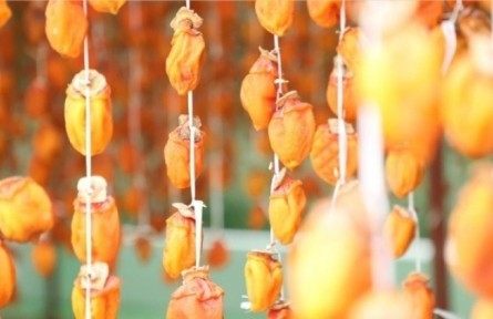 陕西丹凤东楼村：美味柿饼等你来购