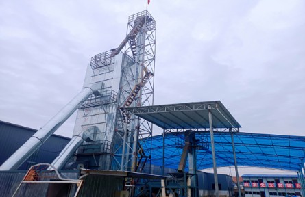 山东省济南市商河县：“抱团”种粮拓富路