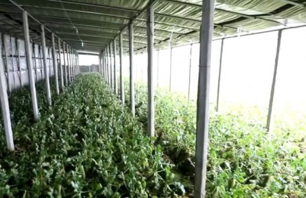 天津启动助农行动
