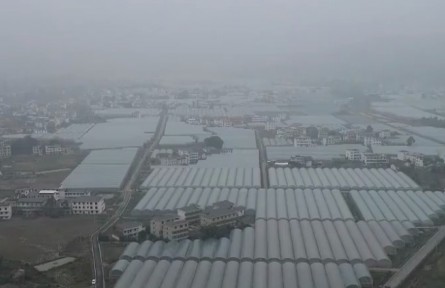 【新春走基层·总书记到过我们家】潭头村里的新年新“硒”望