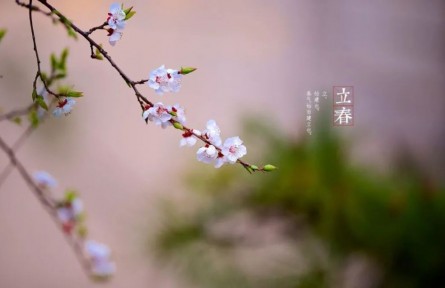 立春，春到人间草木知