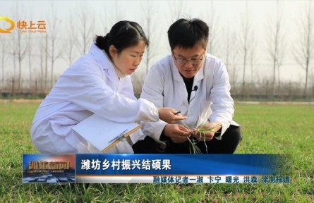 山东省潍坊市乡村振兴结硕果​