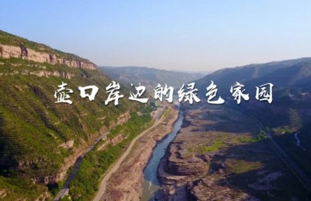 陕西宜川：黄河壶口岸边的绿色家园