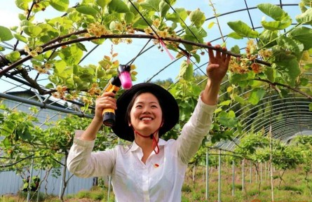 福建柘荣缪带弟：巾帼能手撑起致富“半边天”