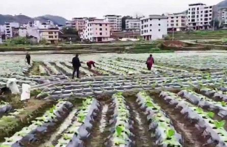 福建：春耕备耕抢农时 蓄力农业生产“开门红”