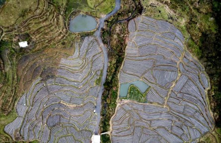 福建永定洪源村：地尽其用 走出致富路