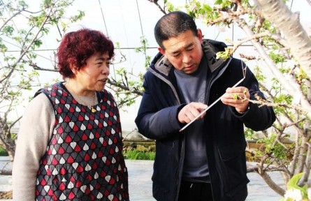 山东烟台海阳市：因地制宜 一镇一策 谱出乡村振兴新愿景