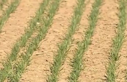 备春耕 保供给 稳住农业基本盘