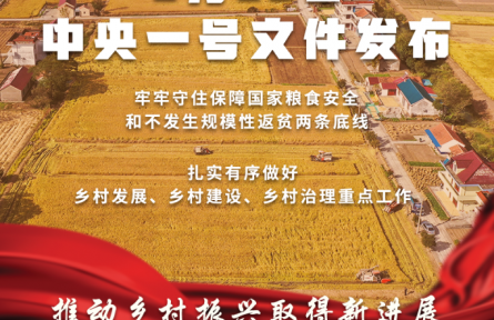 2022年中央一号文件公布 提出全面推进乡村振兴重点工作